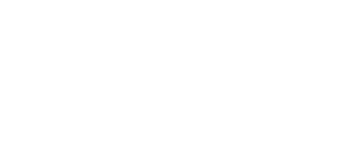 LanguagePartners_rev